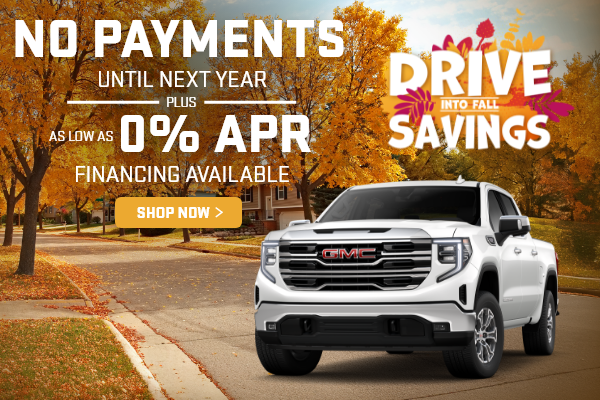 N0 payment until next year & 0% Apr Financing